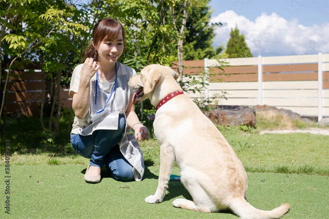 犬と向き合いながらトレーニングするトレーナー